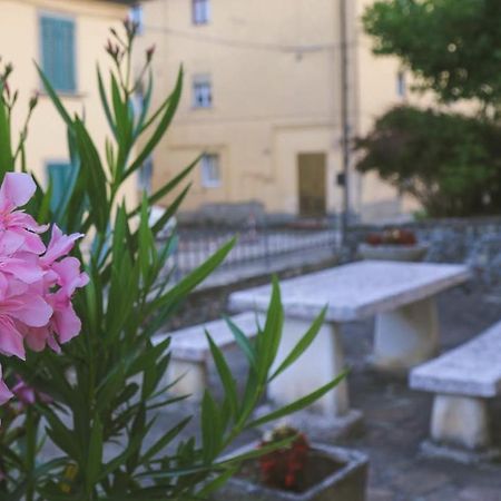 Casa Con Giardino In Mugello A 30 Minuti Da Firenze "Soleluna" Osteria di Novoli Kültér fotó