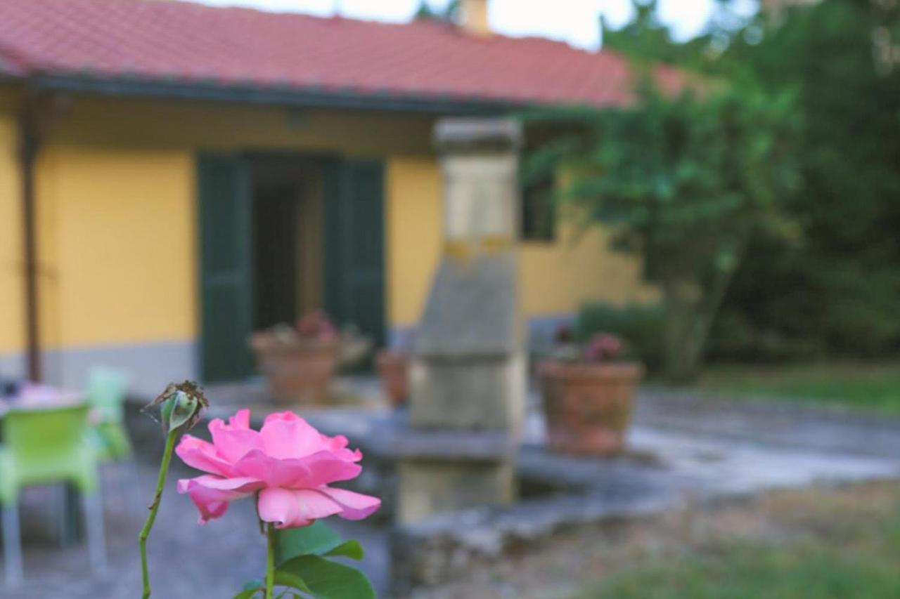 Casa Con Giardino In Mugello A 30 Minuti Da Firenze "Soleluna" Osteria di Novoli Kültér fotó
